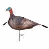 Primos Photoform Jake Turkey Decoy