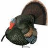 Primos Gobbstopper Strutter Turkey Decoy Box