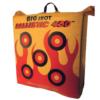 Big Shot Ballistic 450X Bag Target