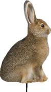 Montana Decoy Co Miss Hoptober Decoy