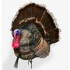 Montana Decoy Co. Wiley Tom 3D Decoy Full Strutting