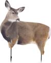 Montana Decoy Co Miss Muley Decoy