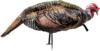 Montana Decoy Co Jake Purrfect XD Turkey Decoy