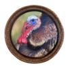 The Grind Bark'n Betty Glass Turkey Pot Call with Hickory Striker