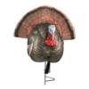 The Grind The Reaper Quarter Body Strutter Turkey Decoy