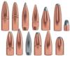 Speer Grand Slam Rifle Bullets .30 cal .308" 180 gr GSSP 50/ct