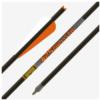Gold Tip Ballistic Crossbow Bolt 22in - 4in Duravanes - 1/2dz