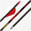 Gold Tip Hunter 340 2in Raptor Vanes - 1/2dz