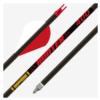 Gold Tip Hunter 500 2in Raptor Vanes - 1/2dz