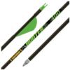 Gold Tip Hunter XT 300 2in Raptor Vanes - 1/2dz